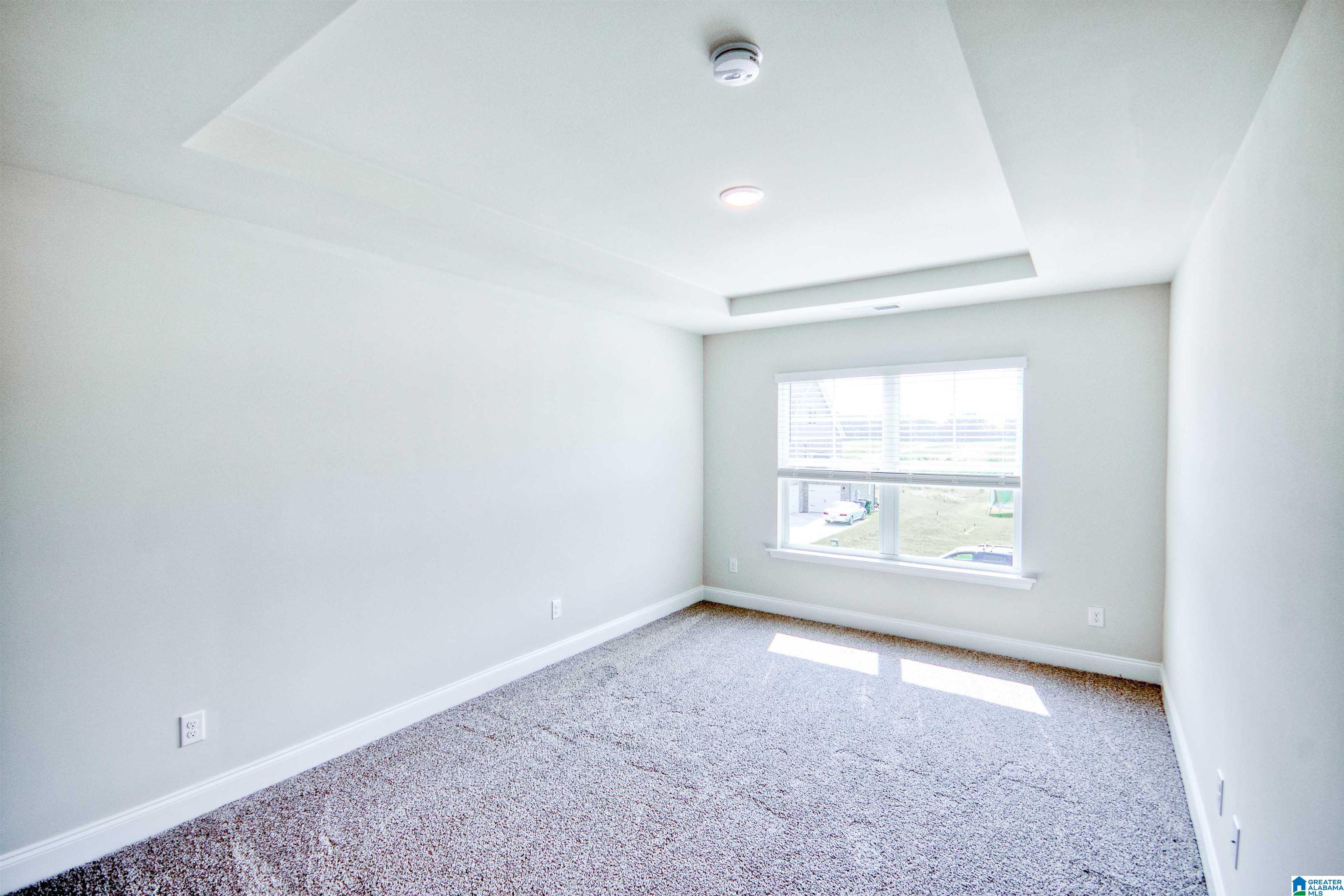 248 Tybee Drive Madison, AL 35756 - Photo 23 of 25