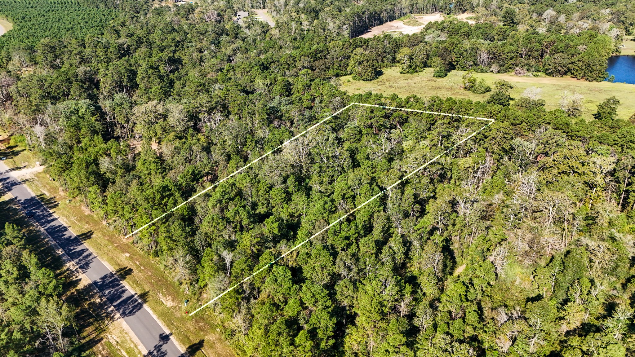15821 Ridge Rock Road Willis, TX 77378 - Photo 14 of 21 The tree coverage allows for you to pick & choose what areas to clear or keep forested for shaded areas of the property as desired.