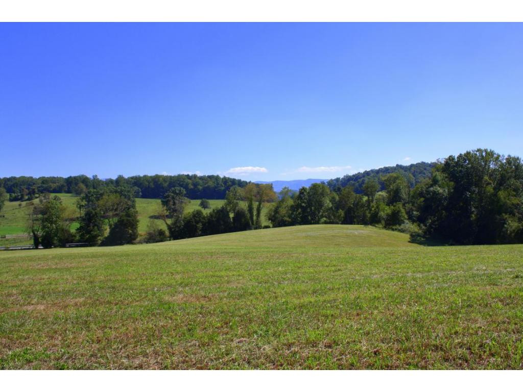 Tbd Green Spring Road, Unit 1 Abingdon, VA 24211 - Photo 1 of 19 Photo 1