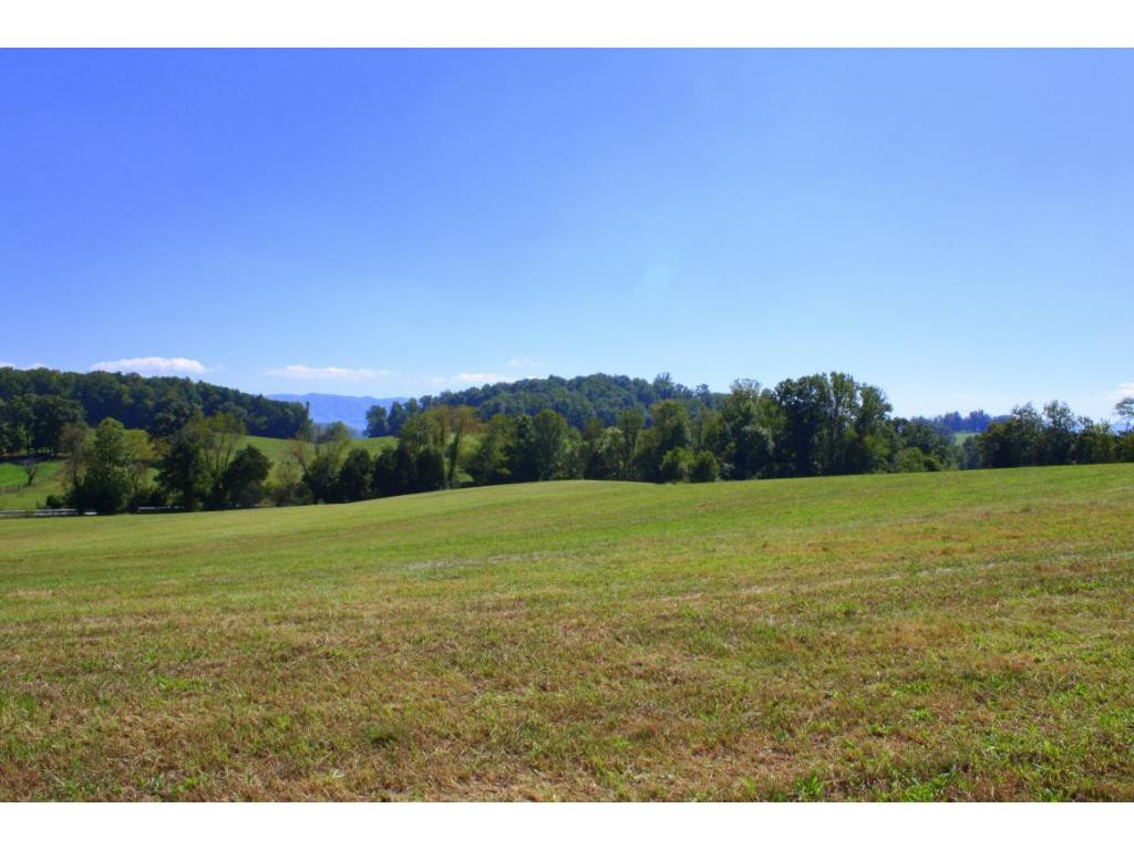 Tbd Green Spring Road, Unit 1 Abingdon, VA 24211 - Photo 14 of 19 Photo 14