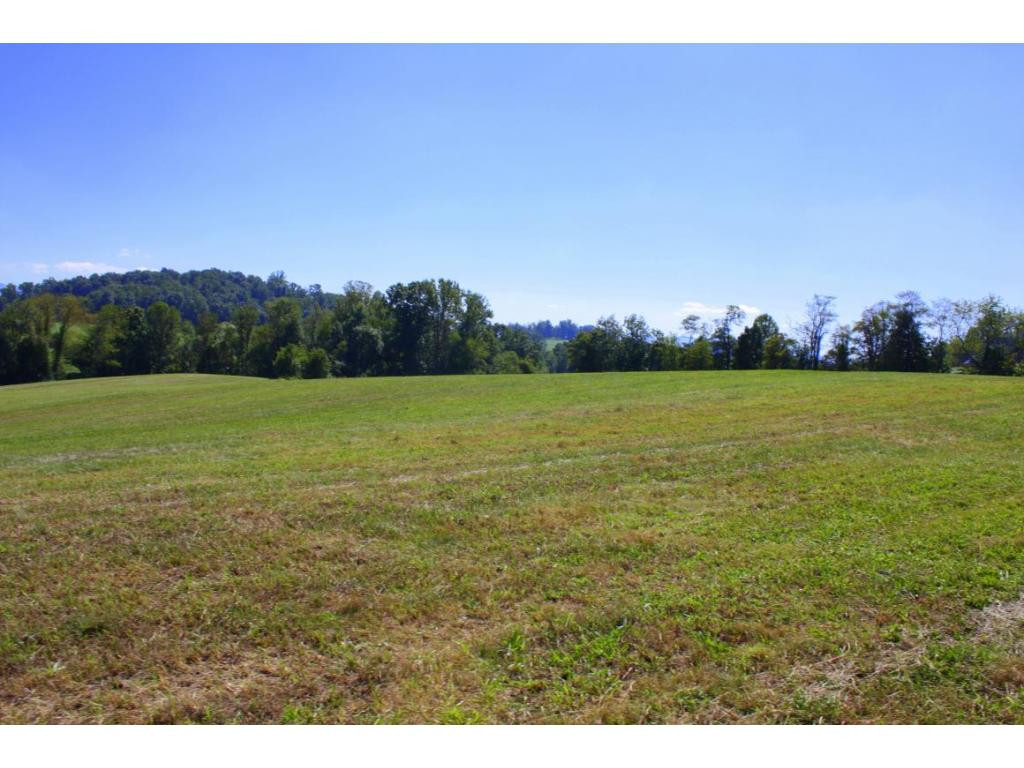 Tbd Green Spring Road, Unit 1 Abingdon, VA 24211 - Photo 15 of 19 Photo 15