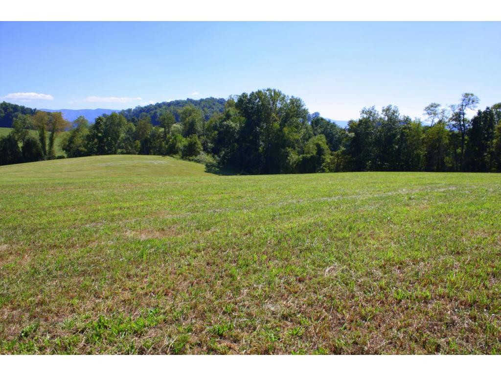 Tbd Green Spring Road, Unit 1 Abingdon, VA 24211 - Photo 16 of 19 Photo 16