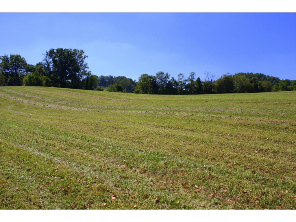 Tbd Green Spring Road, Unit 1 Abingdon, VA 24211 - Photo 18 of 19 Photo 18