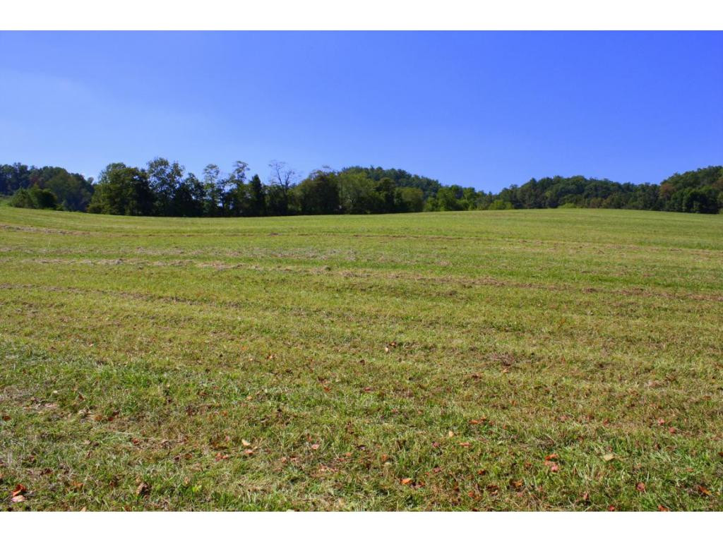 Tbd Green Spring Road, Unit 1 Abingdon, VA 24211 - Photo 19 of 19 Photo 19