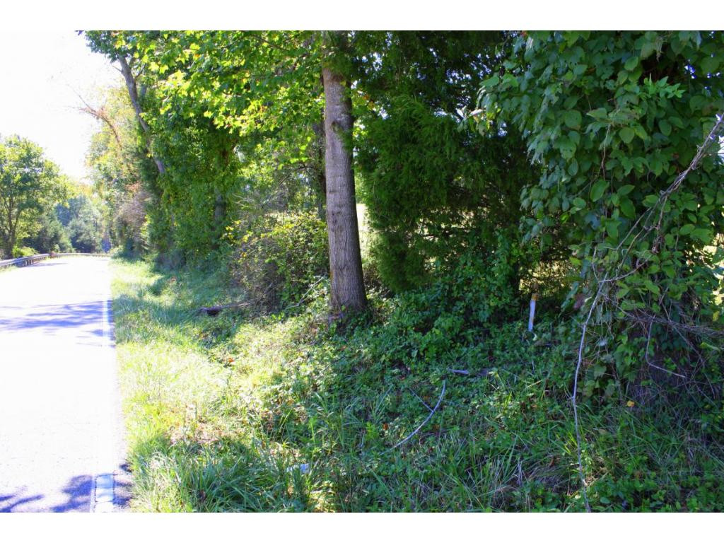 Tbd Green Spring Road, Unit 1 Abingdon, VA 24211 - Photo 2 of 19 Photo 2