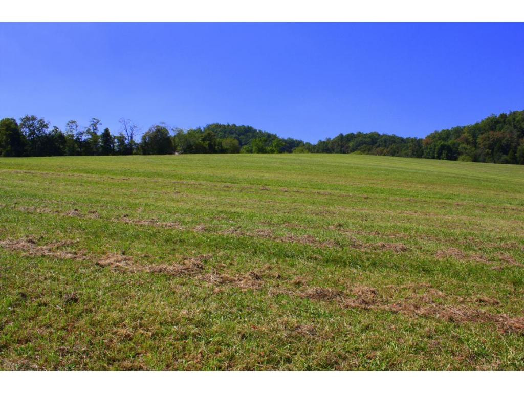 Tbd Green Spring Road, Unit 1 Abingdon, VA 24211 - Photo 4 of 19 Photo 4