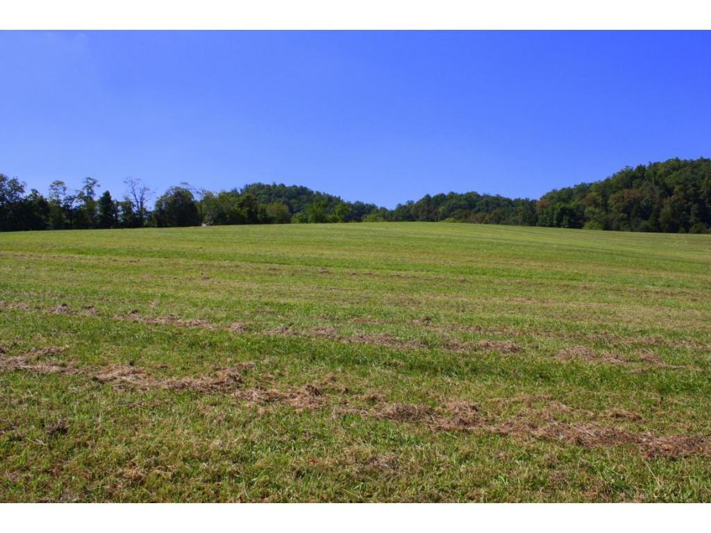 Tbd Green Spring Road, Unit 1 Abingdon, VA 24211 - Photo 5 of 19 Photo 5