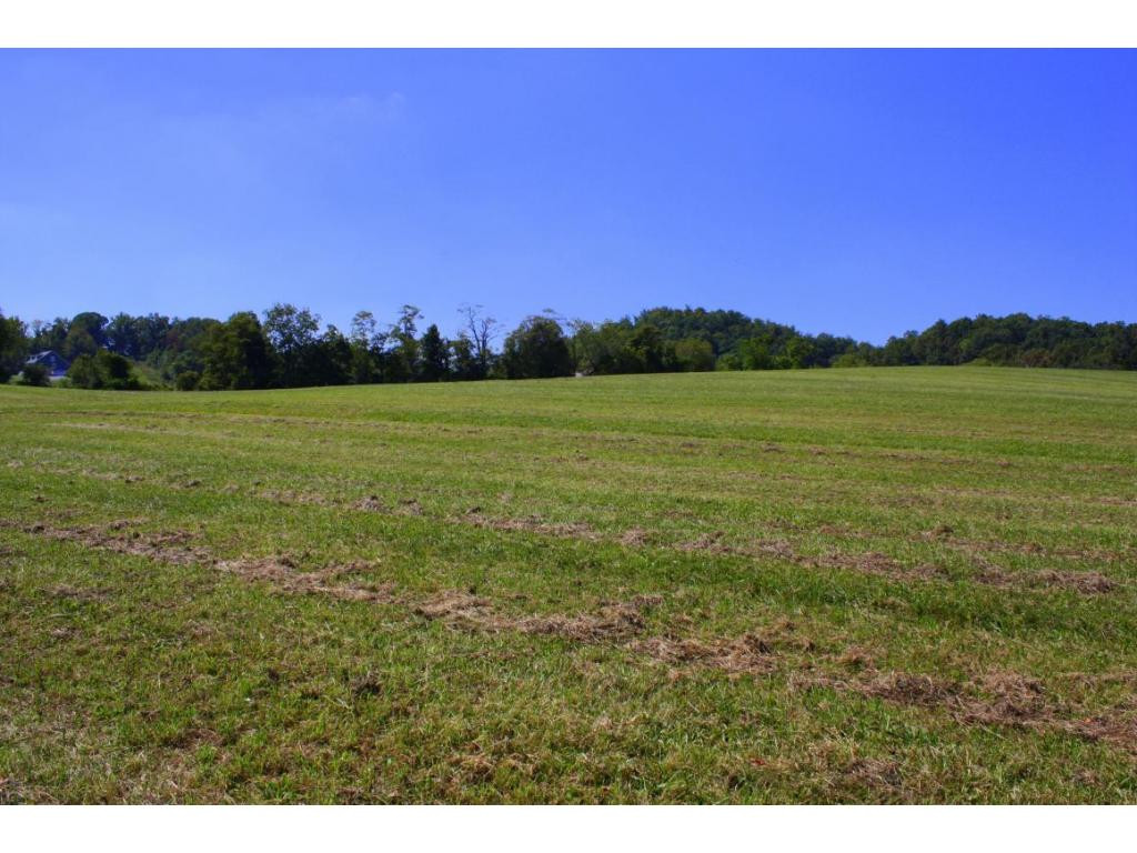 Tbd Green Spring Road, Unit 1 Abingdon, VA 24211 - Photo 6 of 19 Photo 6