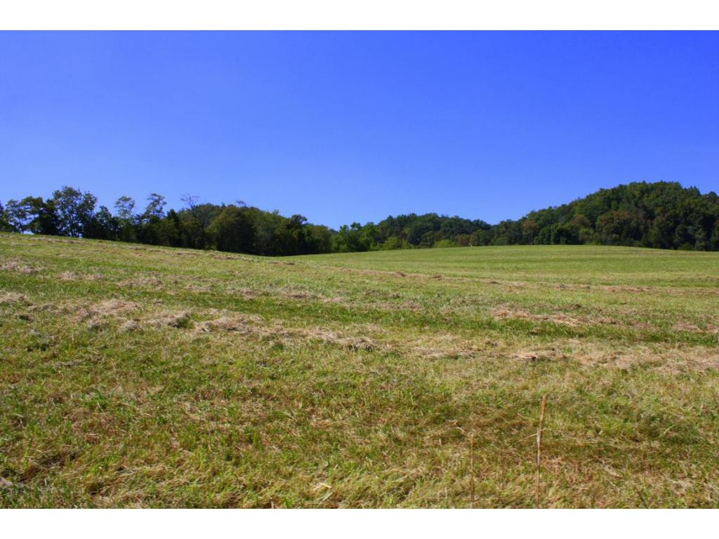 Tbd Green Spring Road, Unit 1 Abingdon, VA 24211 - Photo 7 of 19 Photo 7