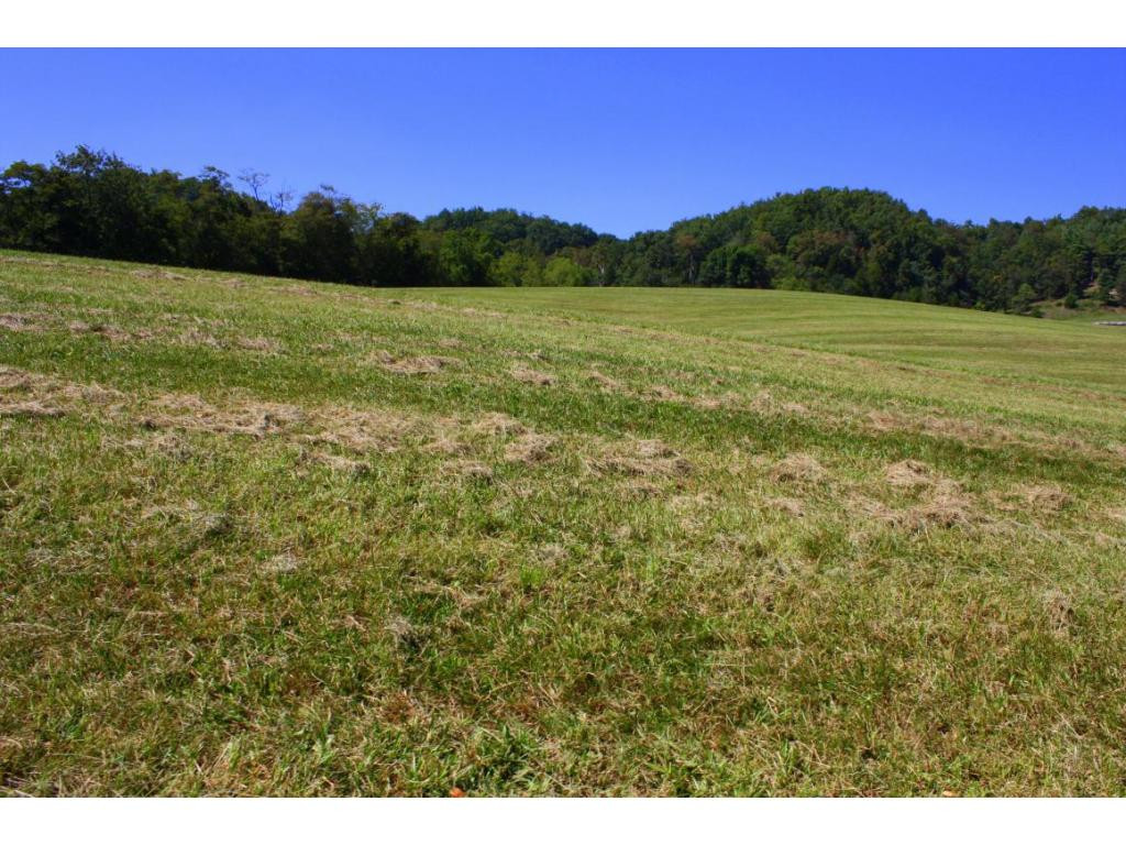 Tbd Green Spring Road, Unit 1 Abingdon, VA 24211 - Photo 8 of 19 Photo 8