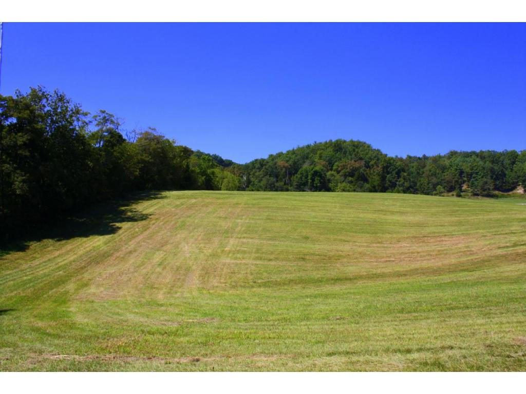 Tbd Green Spring Road, Unit 1 Abingdon, VA 24211 - Photo 10 of 19 Photo 10