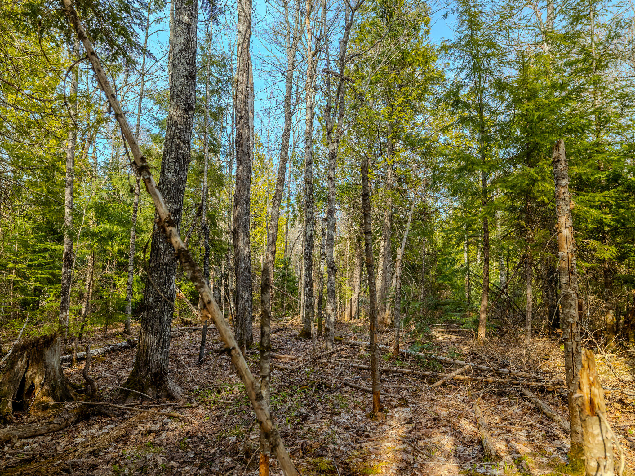 Lot 5 Horoscope Road Pelkie, MI 49958 - Photo 11 of 14 048A2237-HDR