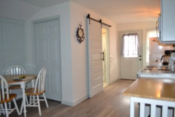 a view of a forest with trees in the background