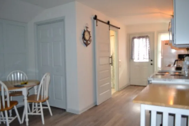 a view of a forest with trees in the background