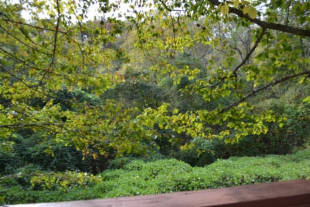 450 Cedar Hill Road Celina, TN 38551 - Photo 43 of 74