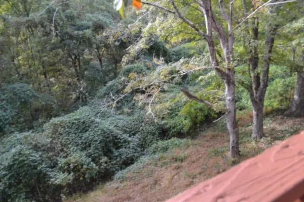 $424,900 | 450 Cedar Hill Road, Celina, TN 38551