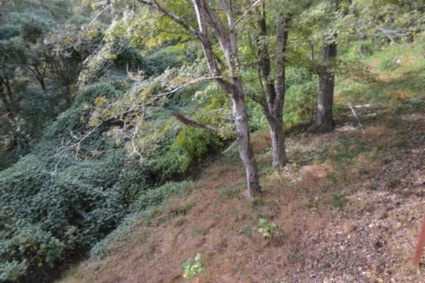 $424,900 | 450 Cedar Hill Road, Celina, TN 38551