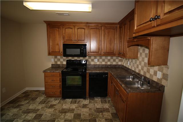 452 Banyon Road Toney, AL 35773 - Photo 13 of 17
