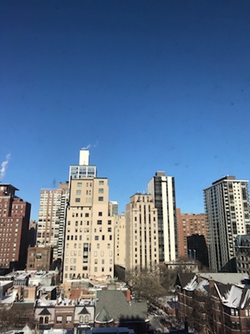 30 East Division Street, Unit 10B Chicago, IL 60610 - Photo 14 of 15