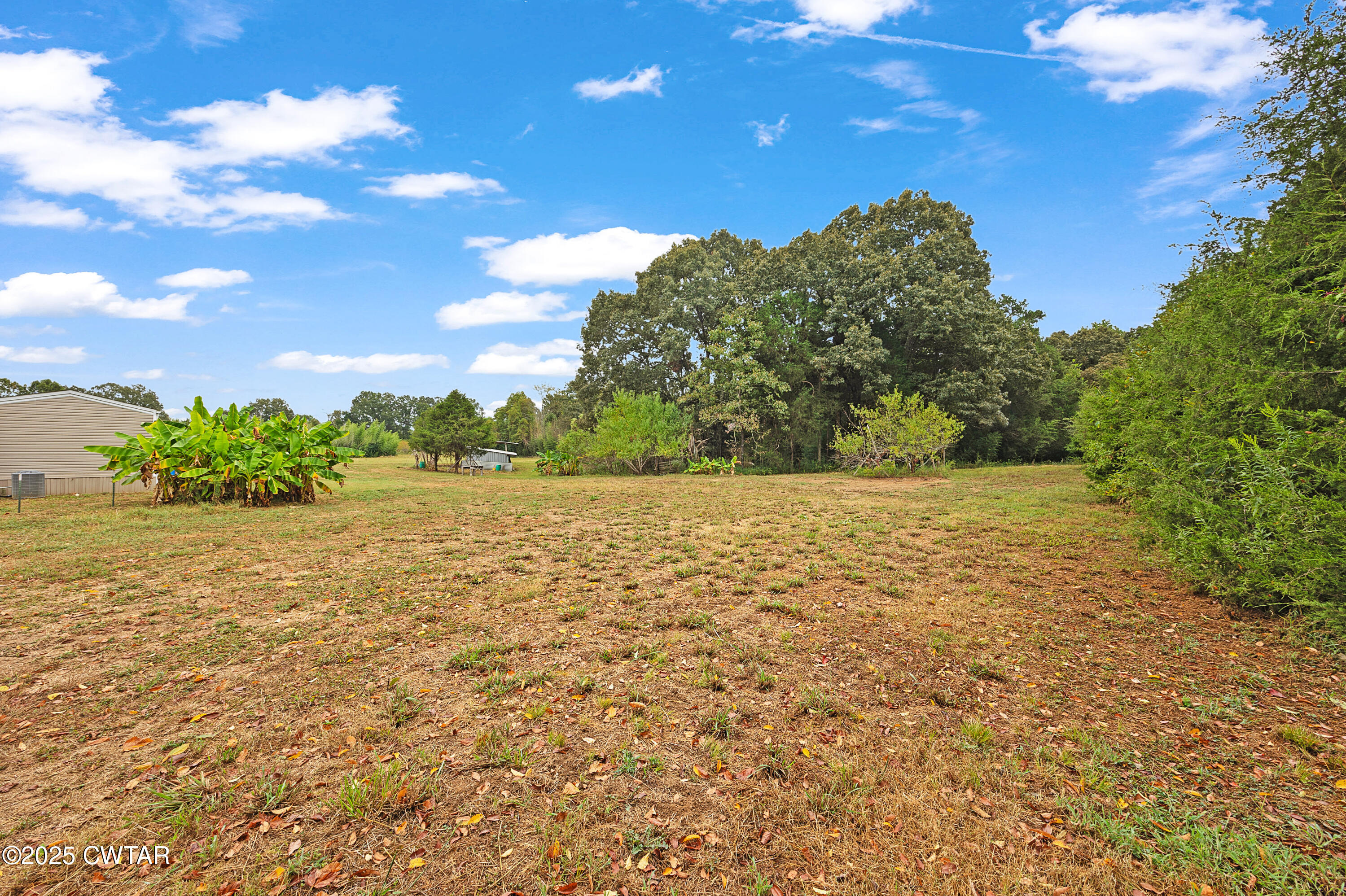 125 Advent Road Bolivar, TN 38008 - Photo 7 of 35 E02A3349