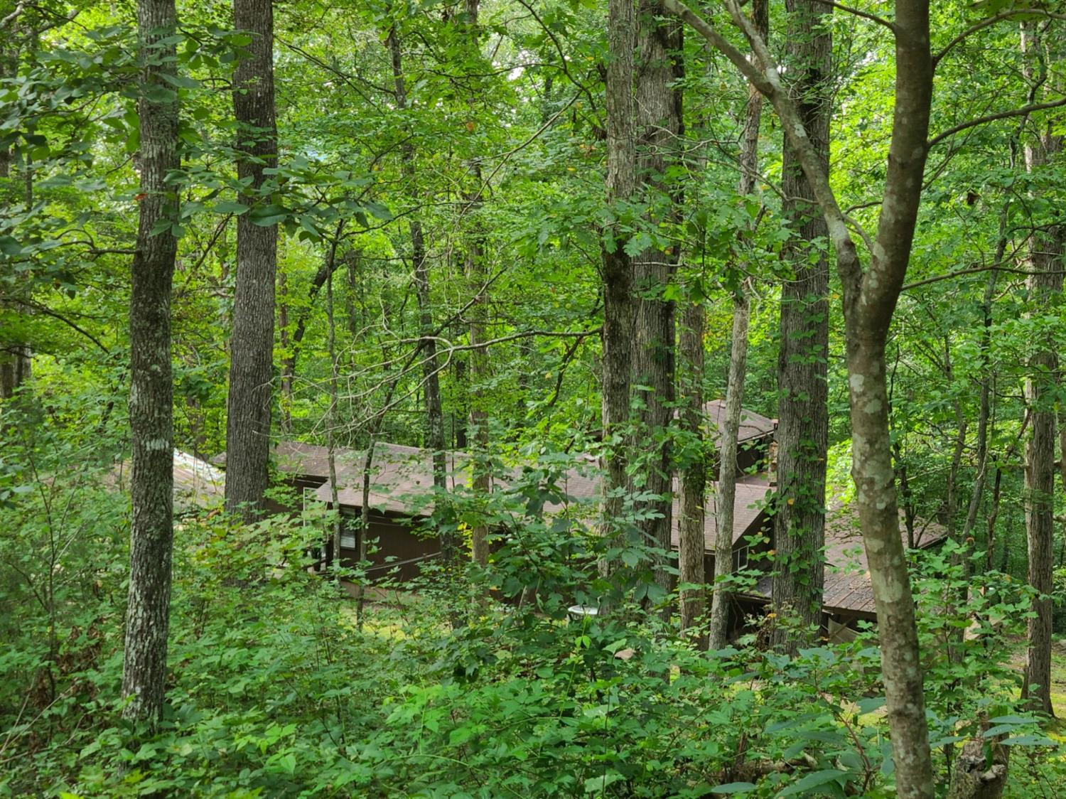 183 Albert Keith Road Whitley City, KY 42653 - Photo 79 of 82 Photo 79