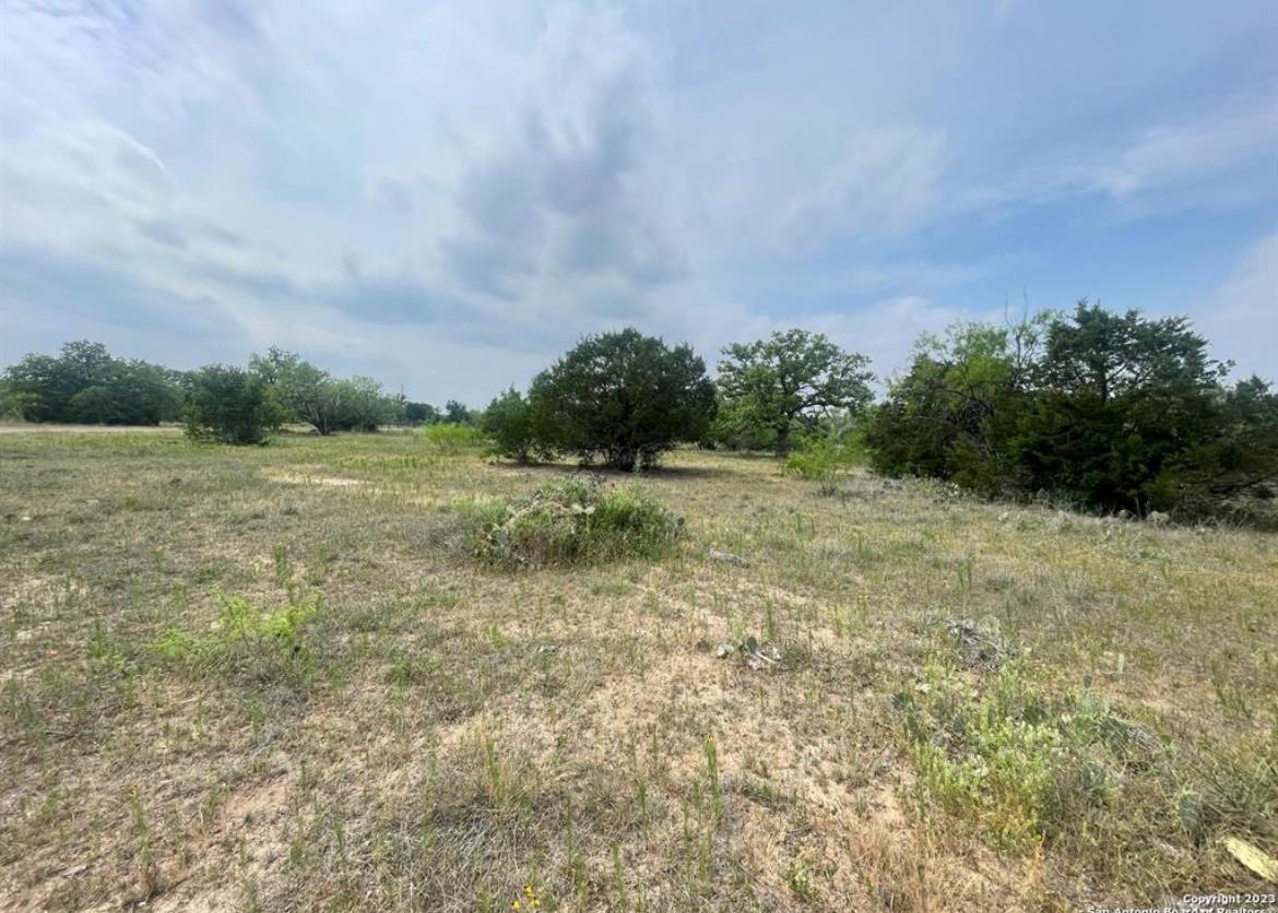 Oak Ridge Trail Kingsland, TX 78639 - Photo 2 of 7 a view of a field with trees in background