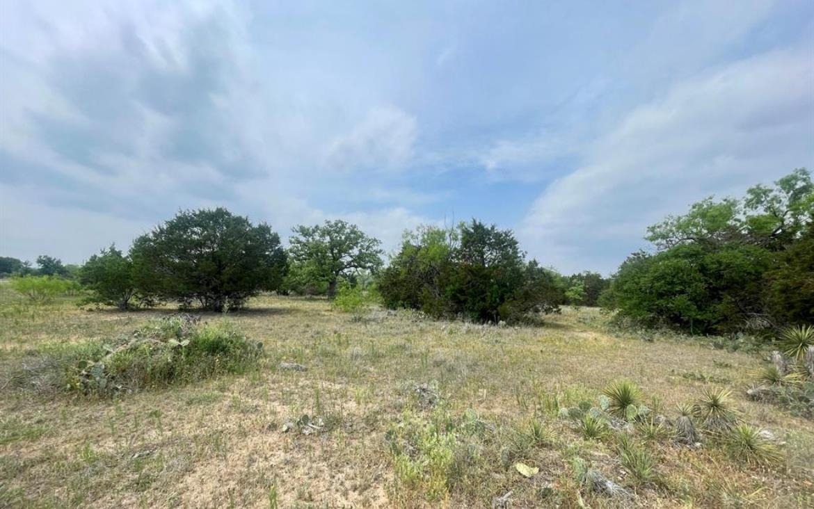 Oak Ridge Trail Kingsland, TX 78639 - Photo 4 of 7 a view of a field with trees in background