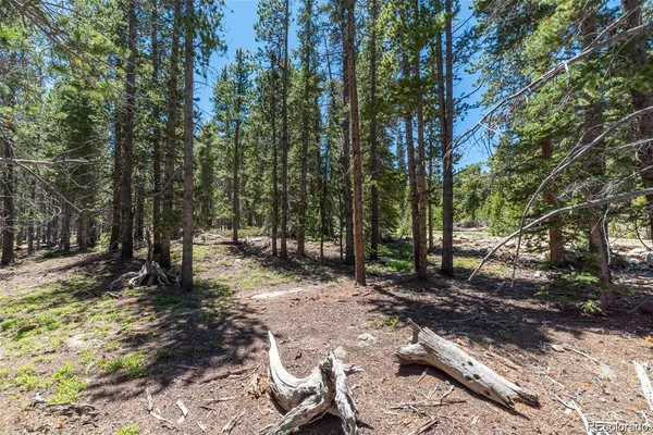 $67,000 | 176 Gold Trail Circle, Fairplay, CO 80440