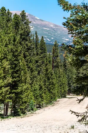 $67,000 | 176 Gold Trail Circle, Fairplay, CO 80440