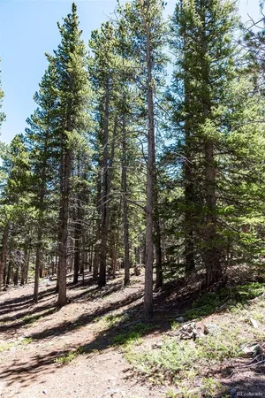 $67,000 | 176 Gold Trail Circle, Fairplay, CO 80440