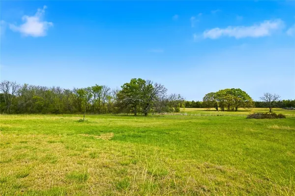 a view of a big yard with a house in the background
