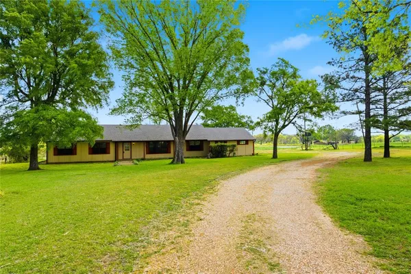 a tall tree in middle of green field in front of house