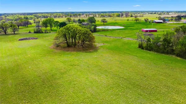 a view of a field with plants and large trees