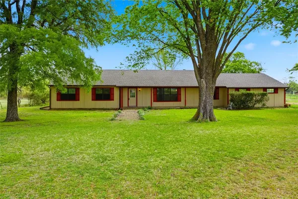a tree in front of a house with a garden