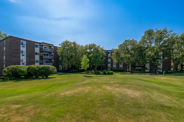 a view of a big room with a big yard and plants