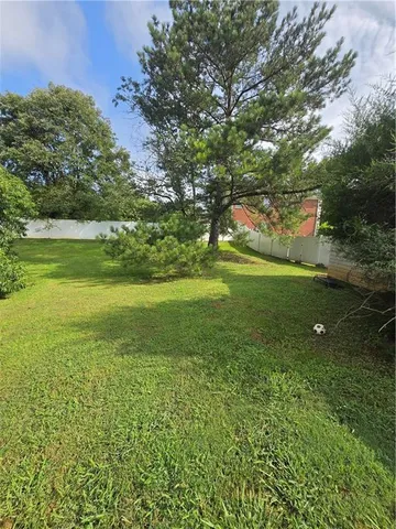a view of a trees in a yard
