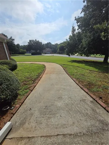 a view of a garden with large trees