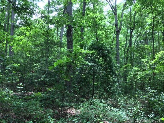 0 Wallace Road Ellenboro, NC 28040 - Photo 3 of 8 Gallery Image 3