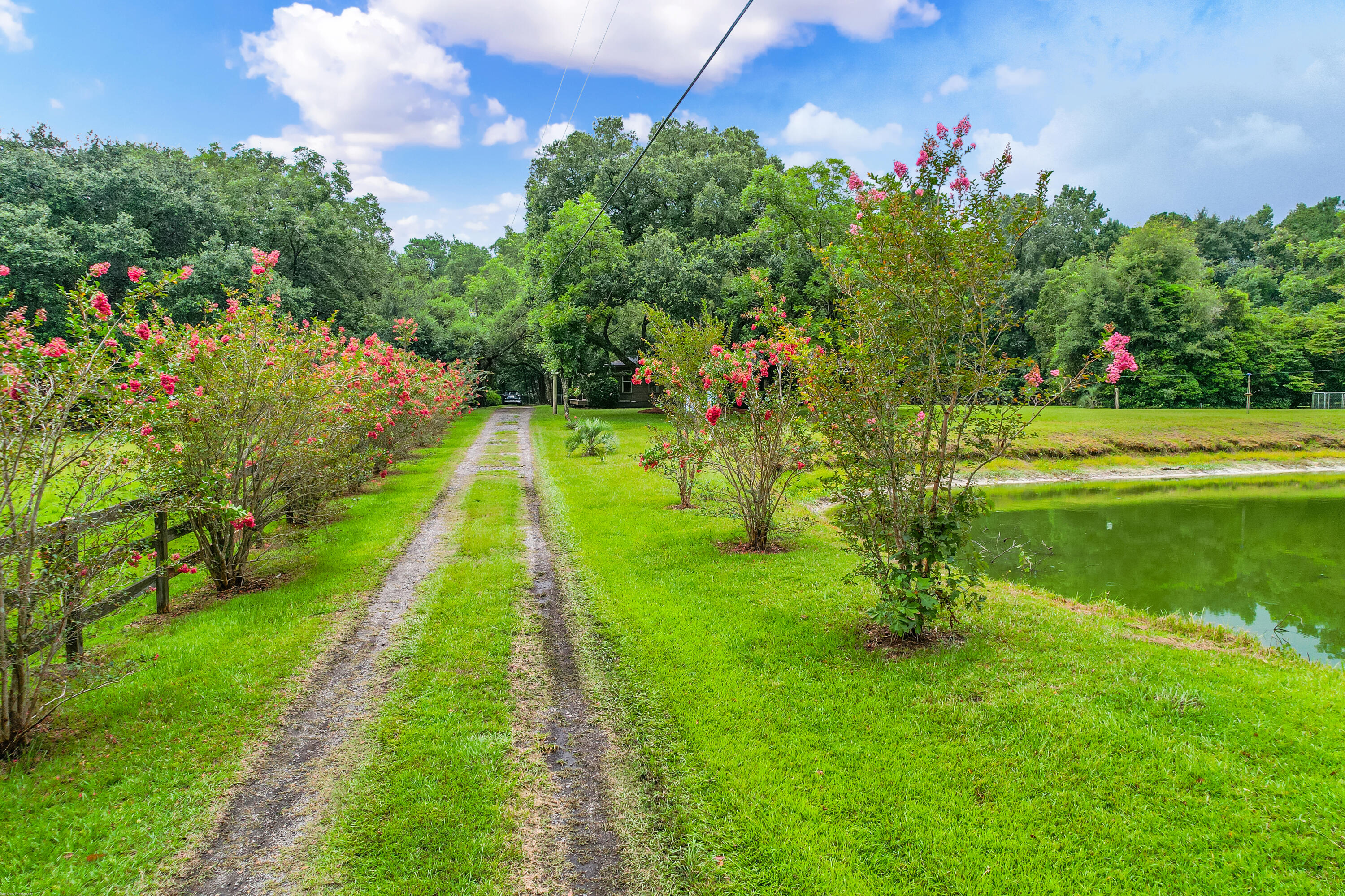4813 Chisolm Road Johns Island, SC 29455 - Photo 2 of 52 Driveway
