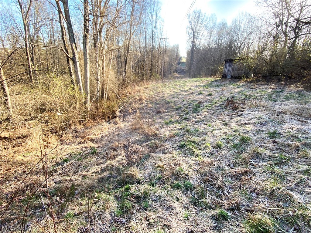0 Twp Road Dexter City, OH 45727 - Photo 9 of 26