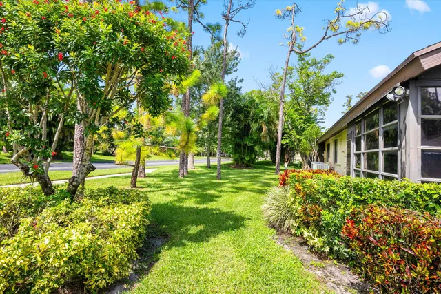 a view of backyard with plants and large trees