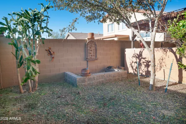 a view of a backyard