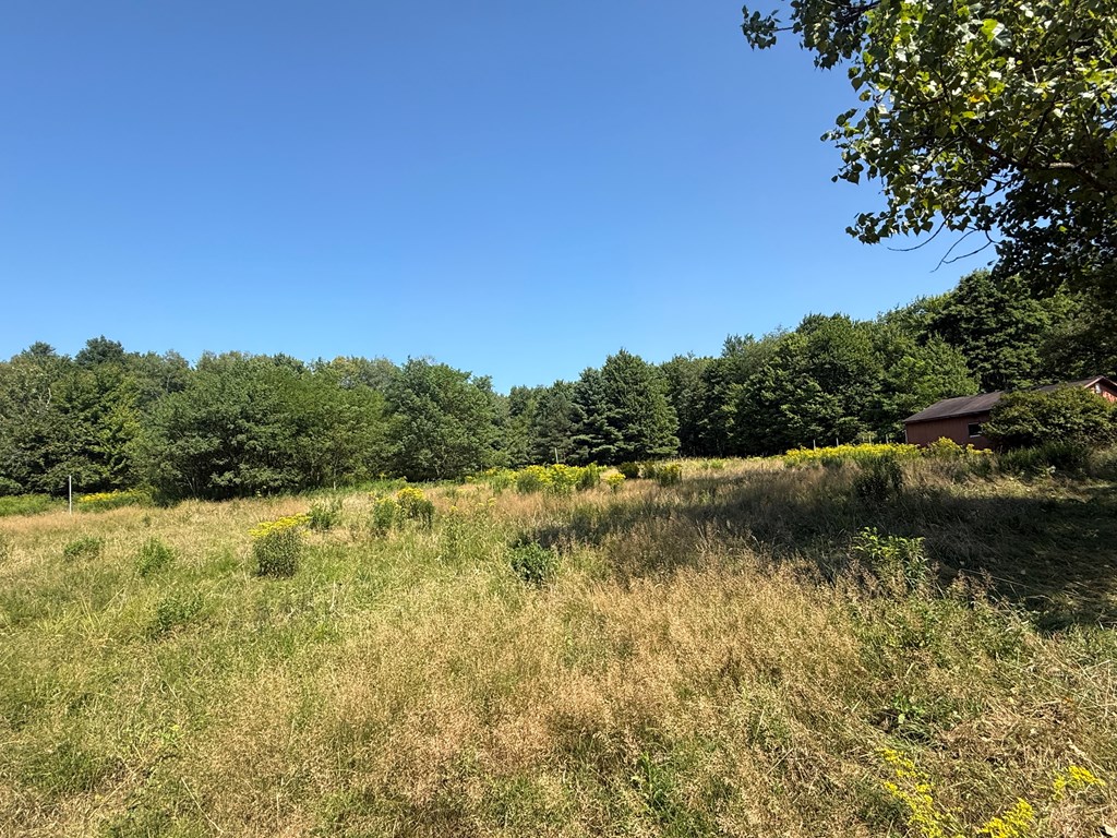 584 Leboeuf Trl Road Titusville, PA 16354 - Photo 12 of 25
