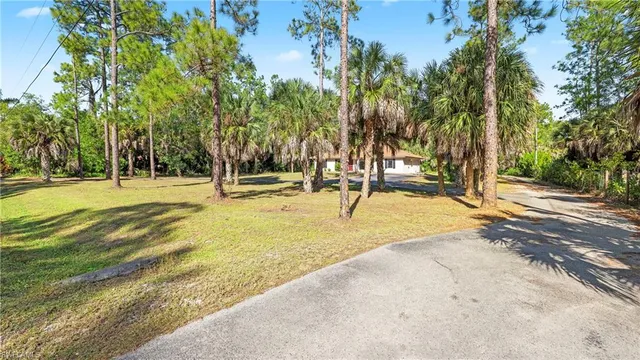 a swimming pool with trees in the background