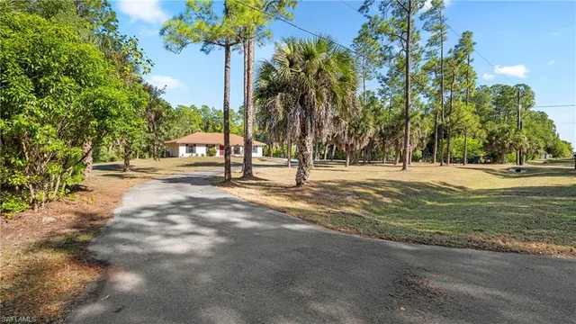 a view of road with trees