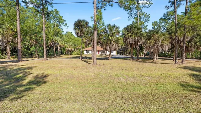 a view of outdoor space with trees