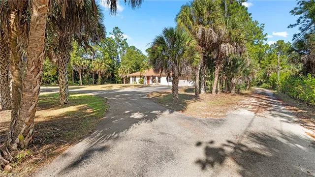 a view of road with trees