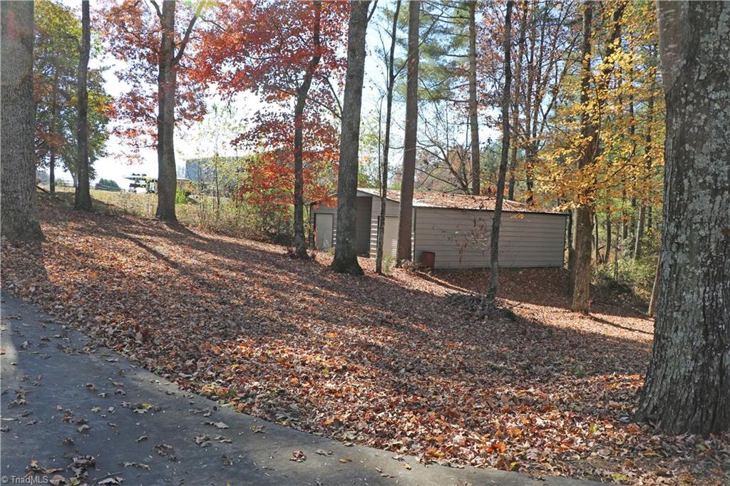 591 Vannoy Maxwell Road Purlear, NC 28665 - Photo 9 of 46