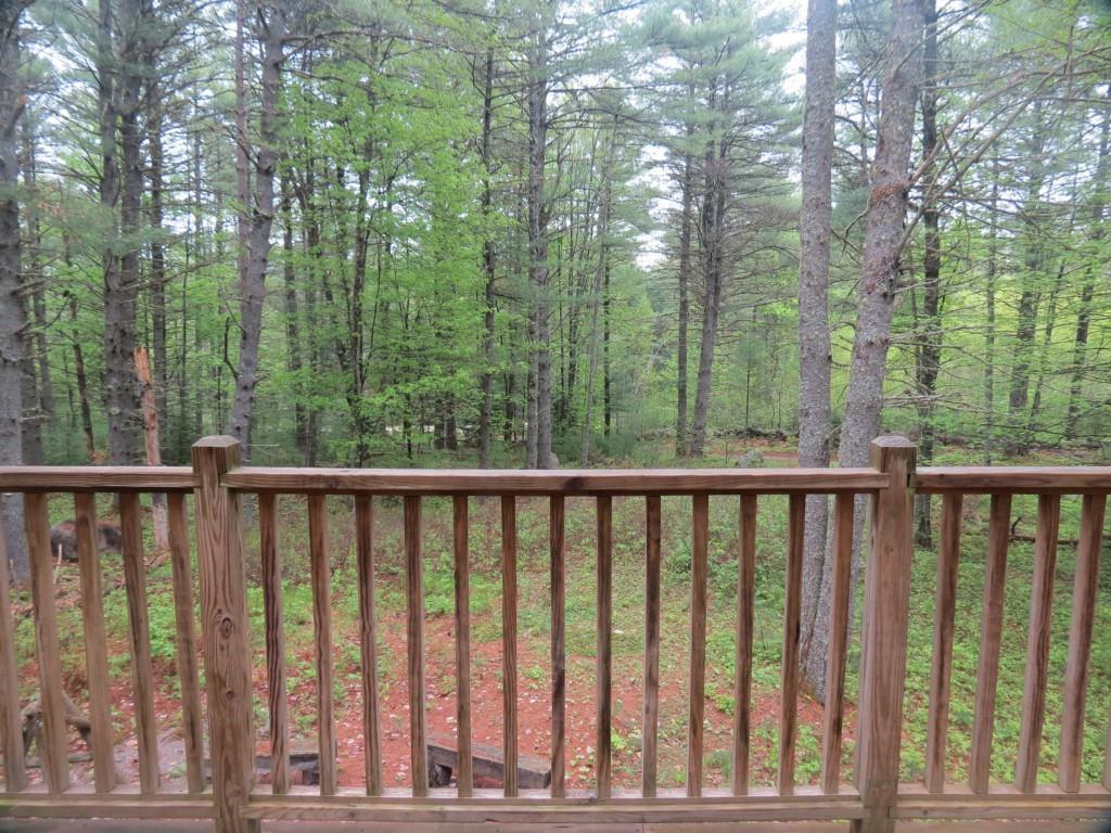 90 Big Woods Road Harrison, ME 04040 - Photo 33 of 34 View from deck of front yard