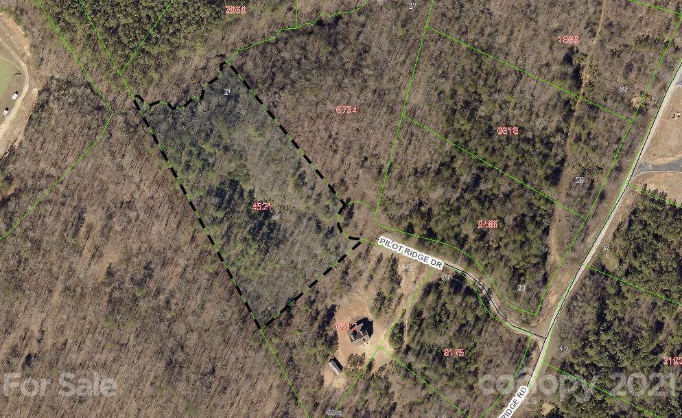 95 Pilot Ridge Road, Unit 21 Nebo, NC 28761 - Photo 1 of 32 a view of a forest with a tree